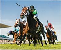 19Jun10 8AP - Lincoln Heritage Handicap, Michael Baze up