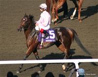 Henrythenavigator with John Velazquez in the 2008 Breeders Cup