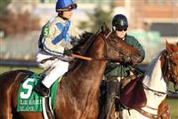 Blame before capturing the 2009 Clark Handicap