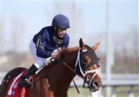 Connemara with Russell Baze after running third in The Lane's End Stakes (grII) at Turfway Park. 03.27.2010 