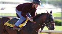 Make Music for Me works at Churchill Downs in preparation for the Kentucky Derby. 04.25.2010 