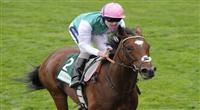 10 September 25: Frankel (no. 2), ridden by Tom Queally and trained by H. R. A. Cecil, wins the Royal Lodge Stakes for two year olds at Ascot Racecourse in Ascot, England. (Bob Mayberger/Eclipse Sportswire)
