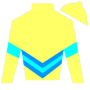myliuZenyatta Silks