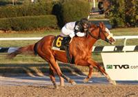 Rodman with Javier Castellano aboard win the 104th edition of the Grade III Queens County at Aqueduct Racetrack, Jamaica, NY. Trained by Michael Hushion. Owned by Barry K. Schwartz.