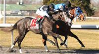 Silsita (outside) wins the Fathead Bourbonette Oaks at Turfway Park with John Velazquez up for trainer Todd Pletcher and owner Eclipse Thoroughbred Partners over Marathon Lady (inside) with Robby Albarado up.March 23, 2013
