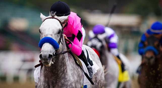 Flashback with jockey JULIEN LEPAROUX up wins the 2013 running of the Robert B. Lewis Stakes at Santa Anita Park in Arcadia, California on February 02, 2013.