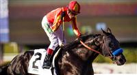 Shakin It Up with jockey DAVID FLORES up wins the 2013 running of the Vicente Stakes at Santa Anita Park in Arcadia, California on February 17, 2013.