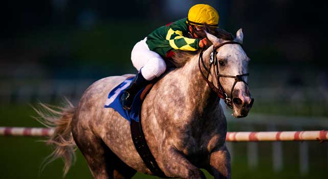 Unbridled Command with Javier Castellano aboard wins the Hollywood Derby at Betfair Hollywood Park in Inglewood , California on November 25, 2012.