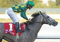 06 March 2010: Paddy O'prado and Jesus Castanon winning the Palm Beach Stakes at Gulfstream Park in Hallandale Beach, FL.