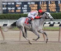 Read the Contract breaks maiden at Aqueduct (11-26-10). 