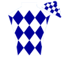 BrianBradley Silks