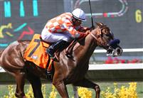 Briecat takes the 2009 Adoration Stakes at Del Mar