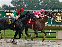 Winning an Alowance Race