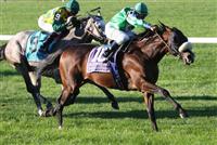 10 02 2010: Winchester & Cornelio Velasquez hold off Paddy O'Prado in the Joe Hirsh Turf Classic, at 1 1/2 miles on the turf for 3-year olds & up, Belmont Park, Elmont, NY. Trainer Christopher Clement. Owners Bert & Diane Firestone