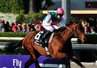 6 November 2009: Midday with Henry Cecil up wins the G1 Breeder's Cup Filly and Mare Turf at Santa Anita Park in Pasadena California.