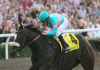 07 November 2009: Zenyatta and jockey Mike Smith win the Breers' Cup Classic at Santa Anita Race Track in Arcadia, CA. 