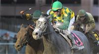 O'Prado Again wins 2011 Remsen O'Prado Again