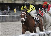 Nite Light runs second in the Brooklyn