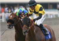 Awesome Gem beats Rail Trip in 2010 Hollywood Gold Cup.