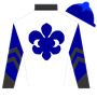 designing2010 Silks