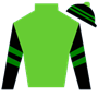 ShayStenchever Silks