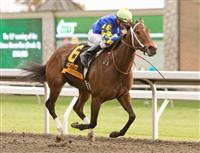 23 October 2010. Hilda's Passion and Corey Lanerie take the 12th running of the Lexus Raven Run (GRII) $250,000 at Keeneland Racecourse.