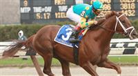 Eskendereya romps home in the 2010 Wood Memorial by 9 3/4 lengths