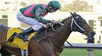 11 February 12: Silver Medallion (no. 4), ridden by Russell Baze and trained by Steven Asmussen, wins the 30th running of the grade 3 El Camino Real Derby for three year olds at Golden Gate Fields in Berkeley, California. (Bob Mayberger/Eclipse Sportswire) 