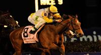 Perfect Shirl, ridden by jockey Patrick Husbands and trained by Roger Attfield wins the Emirates Airline Breeders' Cup Filly and Mare Turf (G1) at Churchill Downs in Louisville, Kentucky on on November 4, 2011.