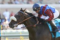 Ferneley captures the 2009 Del Mar Mile