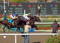 Lava Man 2007
