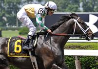 Fabulous Strike takes the 2009 True North on Belmont Day