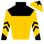 evajean Silks