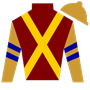 SallyWatanabe Silks