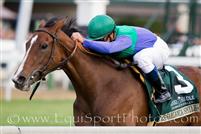 Casablanca Smile