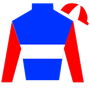 HorseRacingNation Silks