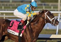Eskendereya wins Fountain of Youth. 