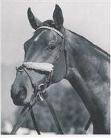 Challedon