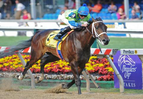 14 May 10: Acting Happy and jockey Jose Lezcano win The Black-Eyed Susan at Pimlico Race Course in Baltimore, Maryland on Black-Eyed Susan Day.