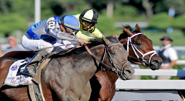 7 August 10: Blame (outsode, blue cap) and jockey Garret Gomez upset 1-2 favorite Quality Road to win the Whitney Handicap at Sratoga Race Course in Saratoga Springs, New York.