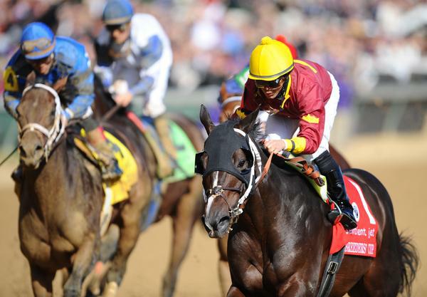 6 November 2010: Big Drama, ridden by Eibar Coa and trained by David Fawkes, romps to a win in the Sentient Jet Breeders Cup Sprint at Churchill Downs in Louisville, KY.(Scott Serio/Eclipse Sportswire)