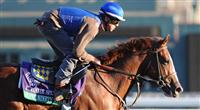 Super Ninety Nine, trained by Bob Baffert, exercises in preparation for the upcoming Breeders Cup at Santa Anita Park on October 30, 2012.