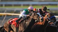 Ventura at Santa Anita