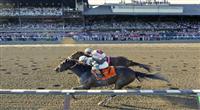 10 August 28: Afleet Express (no. 7), ridden by Javier Castellano and trained by James Jerkens, wins the 141st running of the grade 1 Travers Stakes for three year olds at Saratoga Race Track in Saratoga Springs, New York.