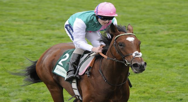 10 September 25: Frankel (no. 2), ridden by Tom Queally and trained by H. R. A. Cecil, wins the Royal Lodge Stakes for two year olds at Ascot Racecourse in Ascot, England. (Bob Mayberger/Eclipse Sportswire) 