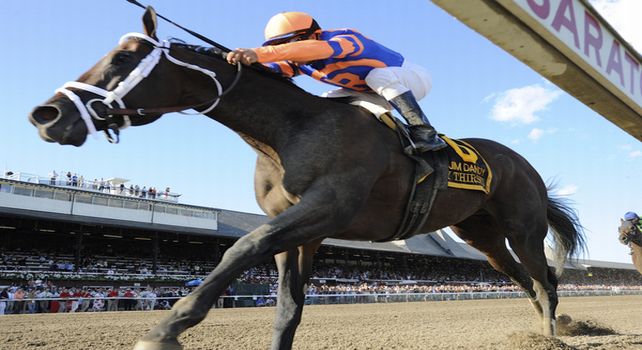 Stay Thirsty (no. 6), ridden by Javier Castellano and trained by Todd Pletcher, wins the 48th running of the grade 2 Jim Dandy Stakes for three year olds on July 30, 2011 at Saratoga Race Track in Saratoga Springs, New York. (Bob Mayberger/Eclipse Sportswire) 