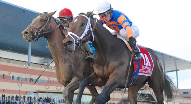Overanalyze (no. 1A), ridden by Ramon Dominguez and trained by Todd Pletcher, wins the 99th running of the grade 2 Remsen Stakes for two year olds on November 24, 2012 at Aqueduct Race Track in Ozone Park, New York. (Bob Mayberger/Eclipse Sportswire)