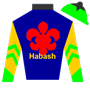 mbenzpolo Silks