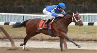 Alpha with Ramon Dominguez wins the Grade III Withers at Aqueduct, 1 1/16 miles, 3 year olds. 