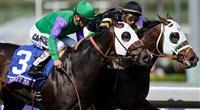 Nov. 02, 2012 - Arcadia, California, U.S - Hightail(KY) inside ridden by Rajiv Maragh and trained by D Wayne Lucas , wins the Breeders' Cup Juvenile Sprint at Santa Anita Park in Arcadia, CA.